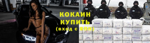 трава Гусь-Хрустальный