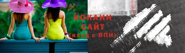 эйфоретик Елизово