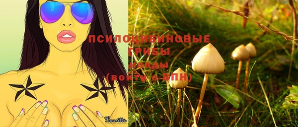 винт Гусиноозёрск
