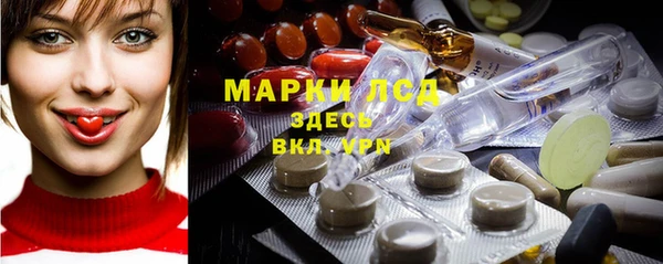 эйфоретик Елизово